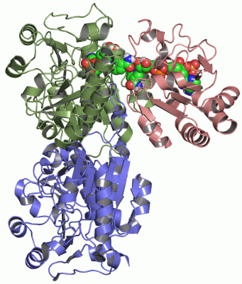 Image NMR Structure - manually