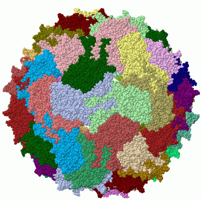 Image Biol.Unit 1 - manually