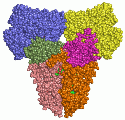 Image Asym./Biol. Unit - manually