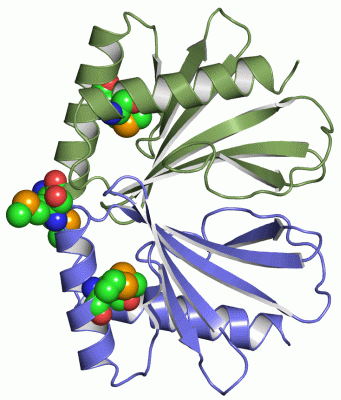 Image Asym./Biol. Unit - manually