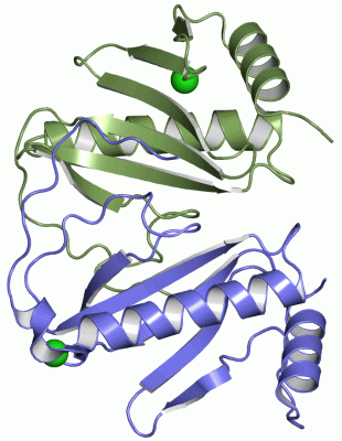 Image Asym./Biol. Unit - manually