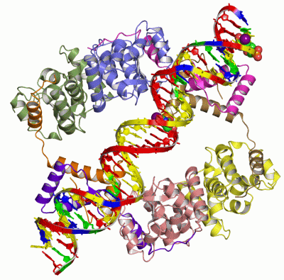 Image Asym./Biol. Unit - manually