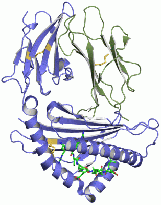 Image Asym./Biol. Unit - manually