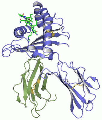 Image Asym./Biol. Unit - manually