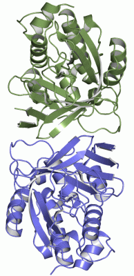 Image Asym.Unit - manually