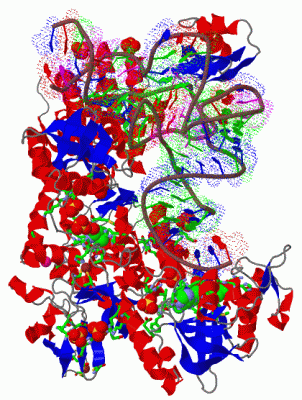 Image Biol.Unit 1 - manually