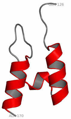 Image NMR Structure - manually