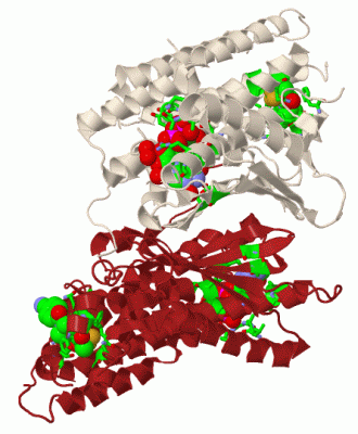 Image Biol.Unit 1 - manually