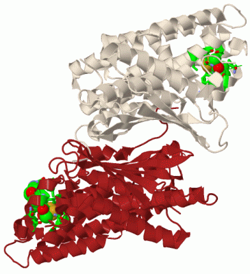 Image Biol.Unit 1 - manually