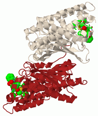 Image Biol.Unit 1 - manually