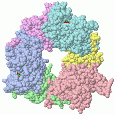 Image Biol.Unit 1 - manually