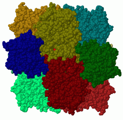 Image Biol.Unit 1 - manually