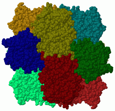 Image Biol.Unit 1 - manually