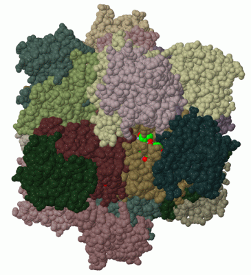 Image Biol.Unit 1 - manually