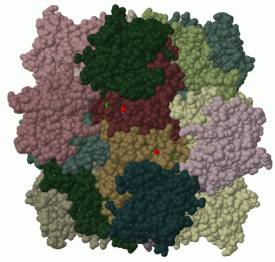 Image Biol.Unit 1 - manually