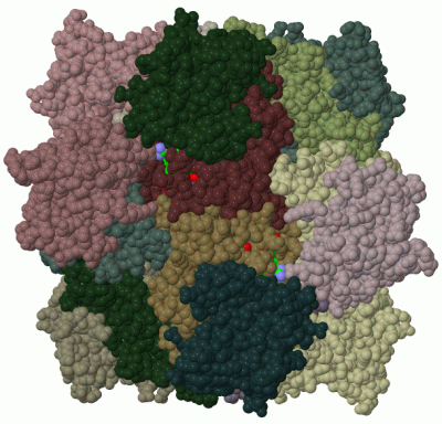 Image Biol.Unit 1 - manually