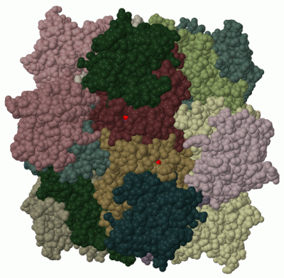 Image Biol.Unit 1 - manually