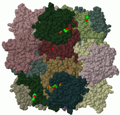 Image Biol.Unit 1 - manually