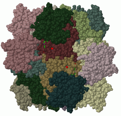 Image Biol.Unit 1 - manually