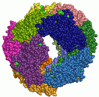 Image Asym./Biol. Unit - manually