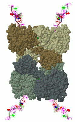 Image Biol.Unit 1 - manually