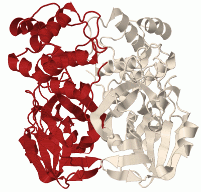 Image Biol.Unit 1 - manually