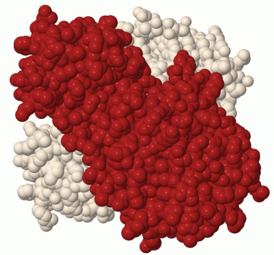 Image Biol.Unit 1 - manually