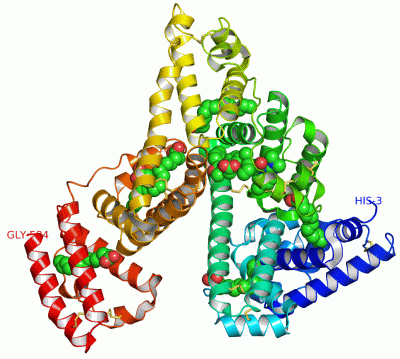 Image Asym./Biol. Unit - manually