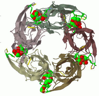 Image Asym./Biol. Unit - manually