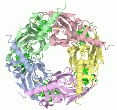 Image Asym./Biol. Unit - manually