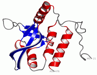 Image NMR Structure - manually