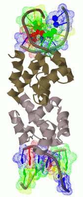 Image Biol.Unit 1 - manually