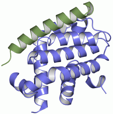 Image Asym./Biol. Unit - manually