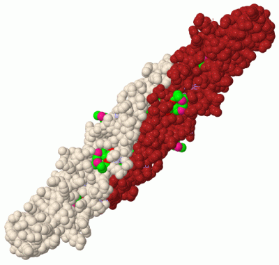 Image Biol.Unit 1 - manually