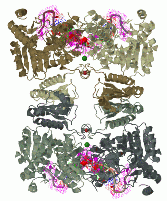 Image Biol.Unit 1 - manually