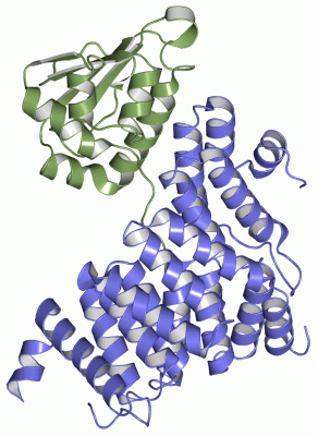 Image Asym./Biol. Unit - manually