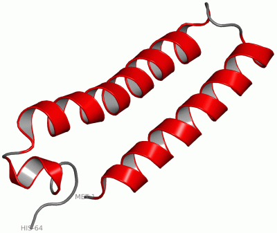 Image NMR Structure - manually