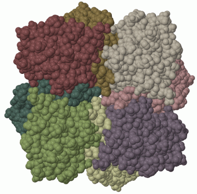 Image Biol.Unit 1 - manually