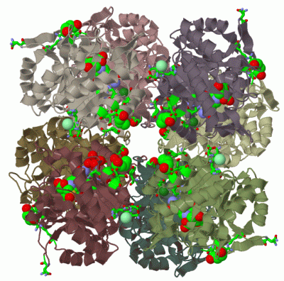 Image Biol.Unit 1 - manually