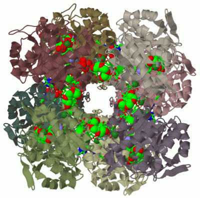 Image Biol.Unit 1 - manually