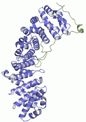 Image Asym./Biol. Unit - manually