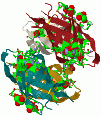 Image Biol.Unit 1 - manually