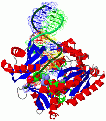 Image Asym./Biol. Unit - manually