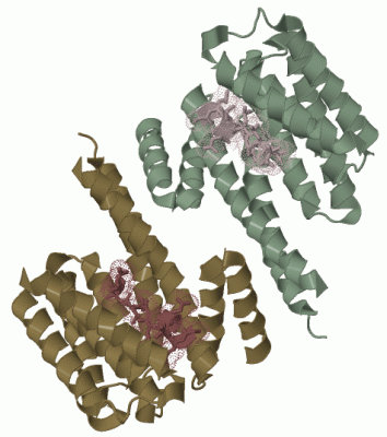 Image Biol.Unit 1 - manually