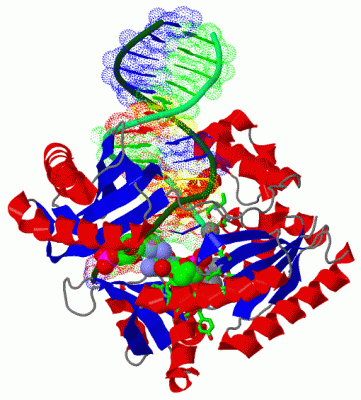 Image Biol.Unit 1 - manually