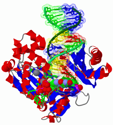 Image Asym./Biol. Unit - manually