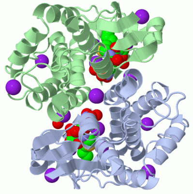 Image Biol.Unit 1 - manually