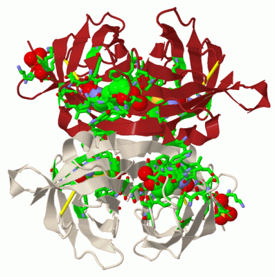 Image Biol.Unit 1 - manually