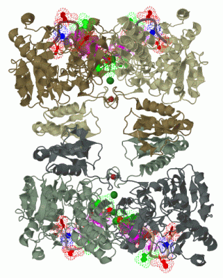 Image Biol.Unit 1 - manually