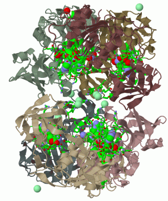 Image Biol.Unit 1 - manually